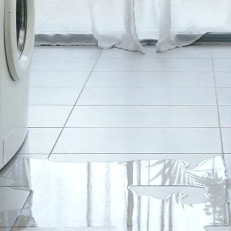 Appliance Leak Cleanup in Lake Fenton, MI
