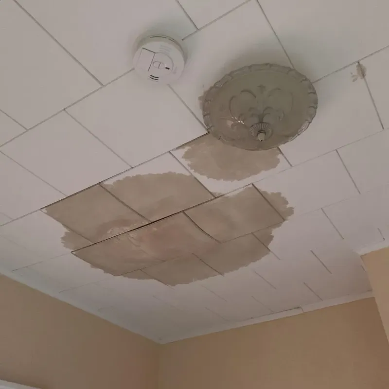 Ceiling Water Damage Repair in Lake Fenton, MI