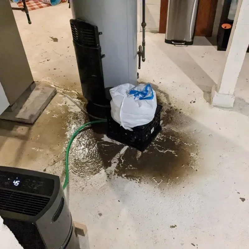 Sewage Backup Cleanup Service in Lake Fenton, MI